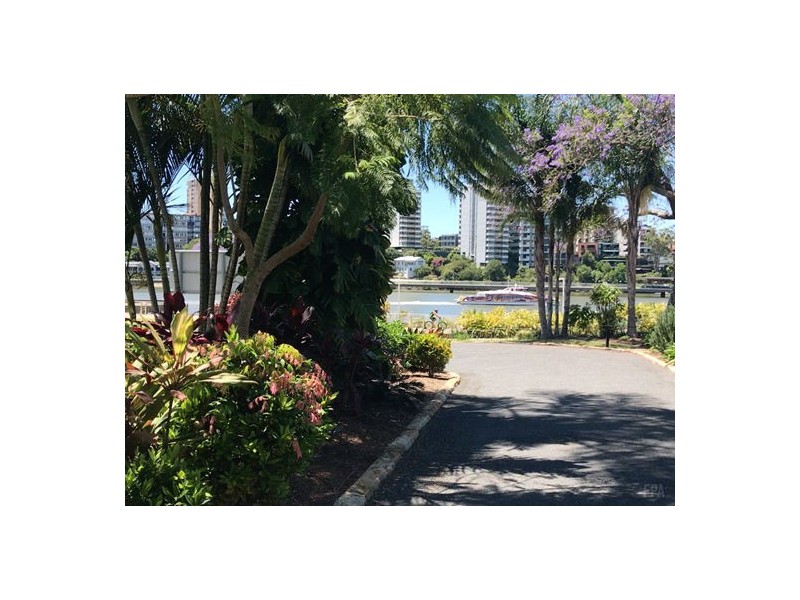 3205/19 Anderson Street, Kangaroo Point QLD 4169