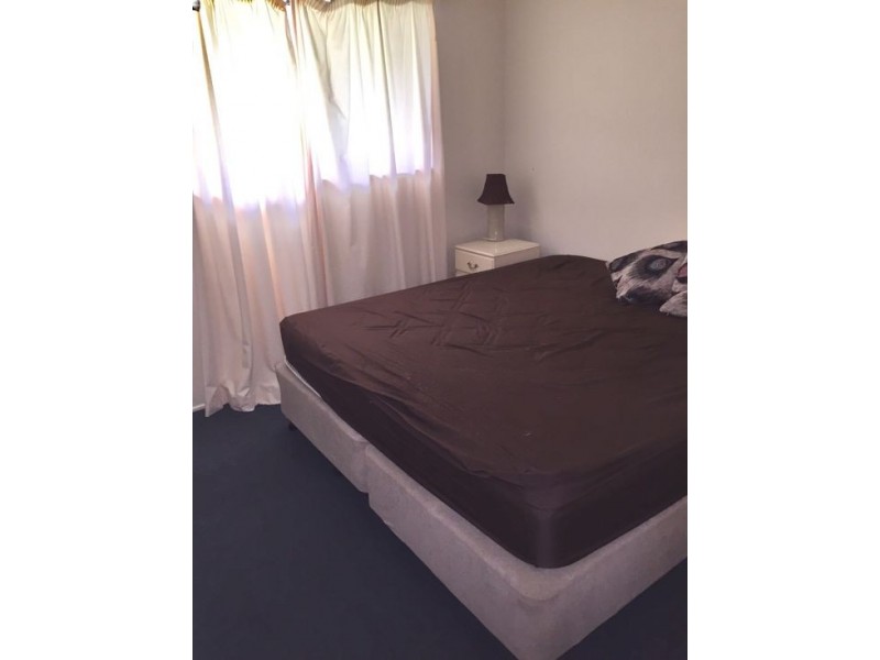 520 Park Ridge Rd, Park Ridge QLD 4125