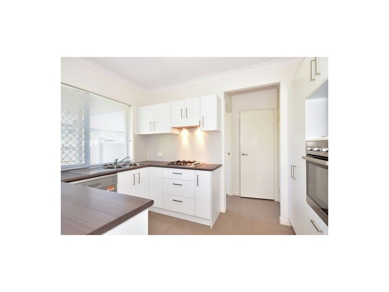 42 Wattlebird Street, Mango Hill QLD 4509