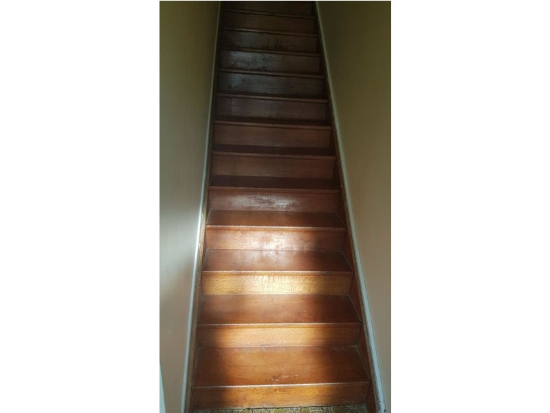 38 Dennistoun Street, Sunnybank Hills QLD 4109