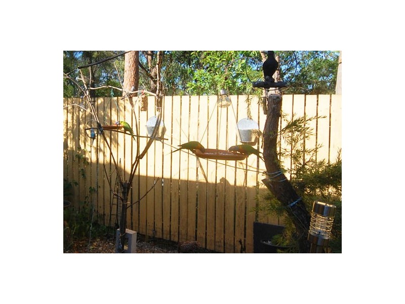 31/1230 Creek Road, Carina Heights QLD 4152