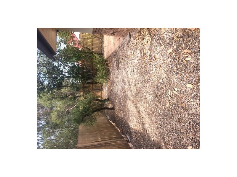 31/1230 Creek Road, Carina Heights QLD 4152