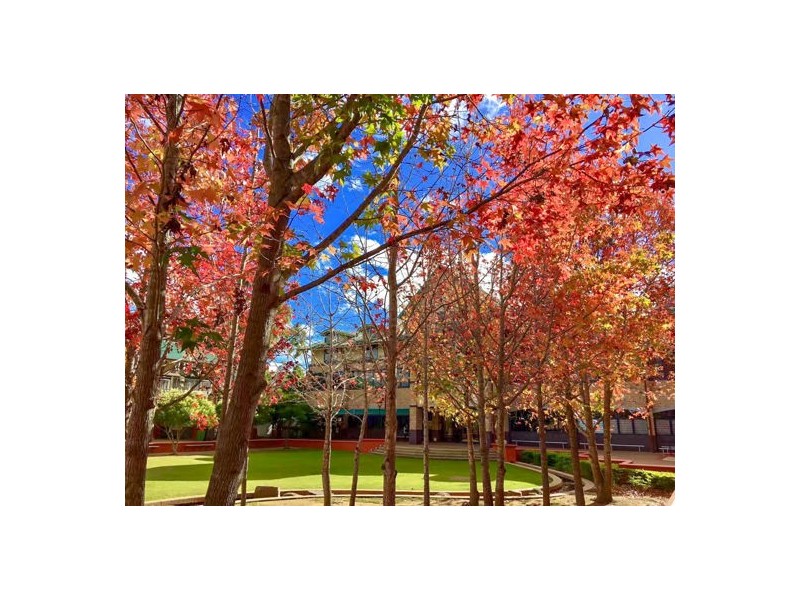 52 Freshwater Circuit, Forest Lake QLD 4078