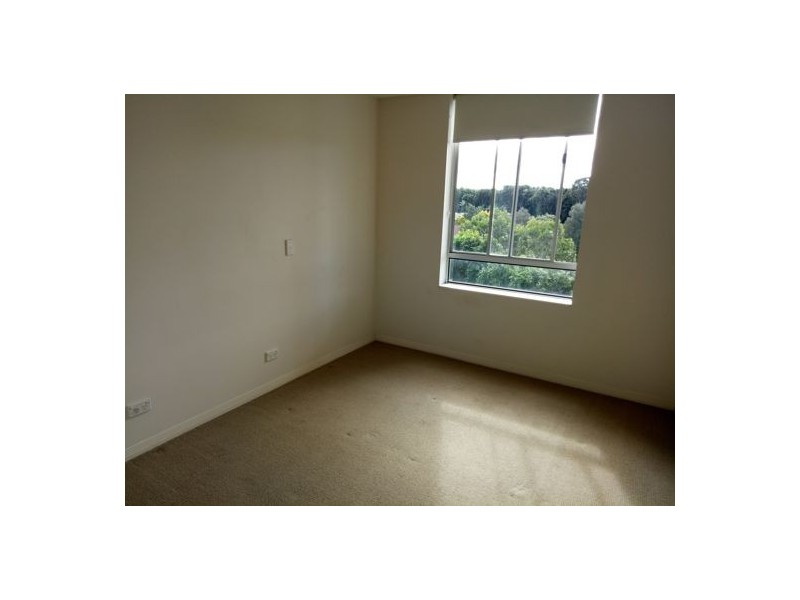 4302 12 Executive Dr, Burleigh Waters QLD 4220