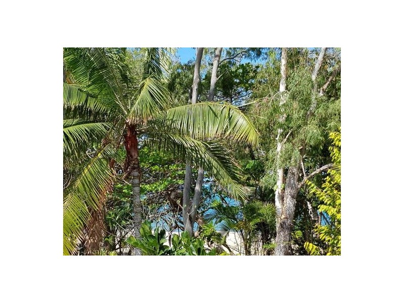 Clifton Beach QLD 4879