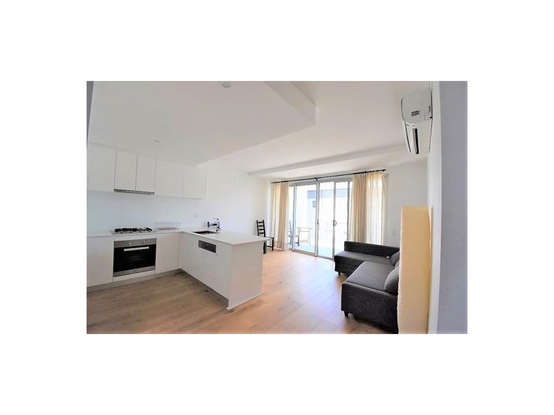 19 Hutchinson Street, St Peters NSW 2044