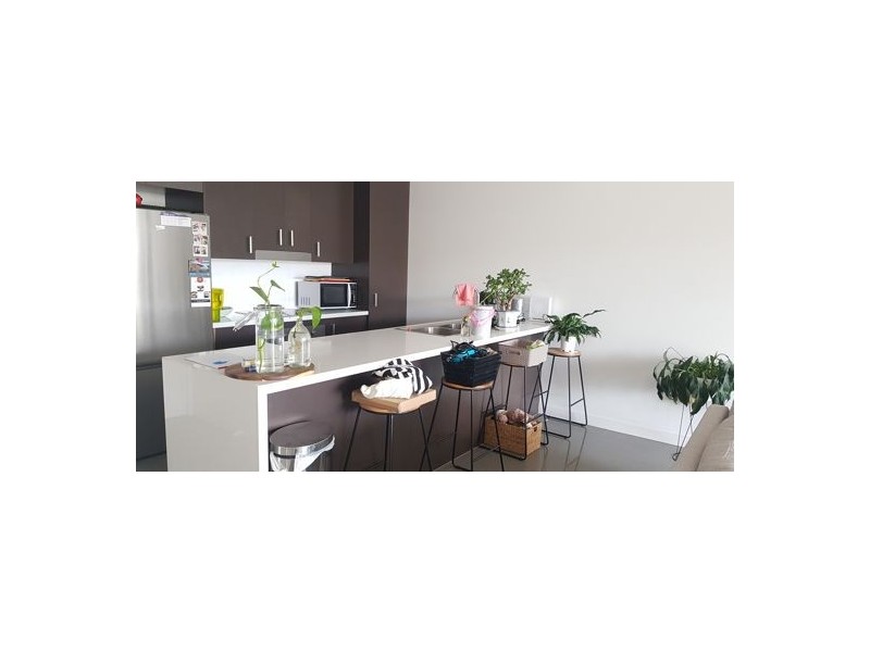 1 34 Pashen Street, Morningside QLD 4170