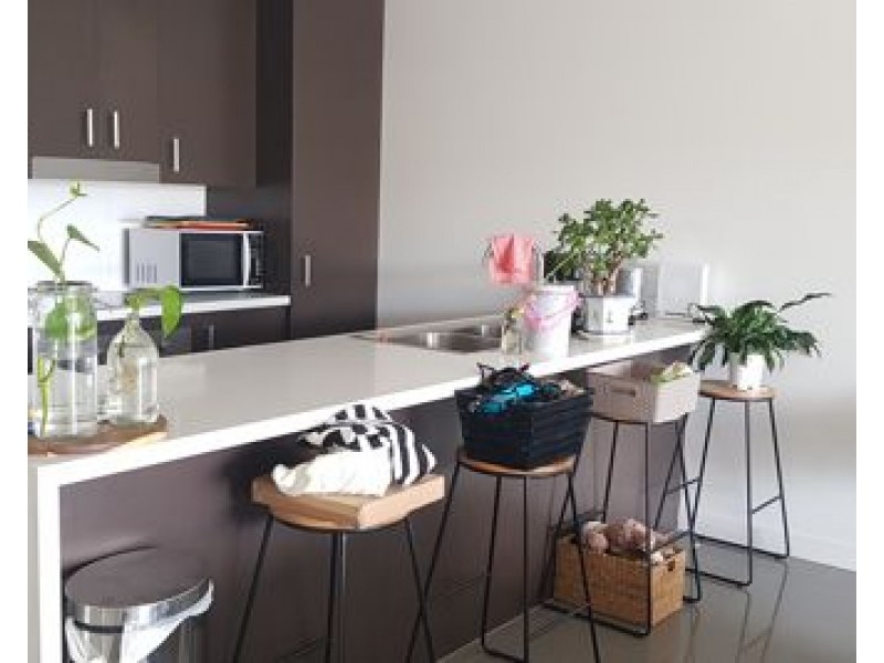 unit 2 34 Pashen Street, Morningside QLD 4170