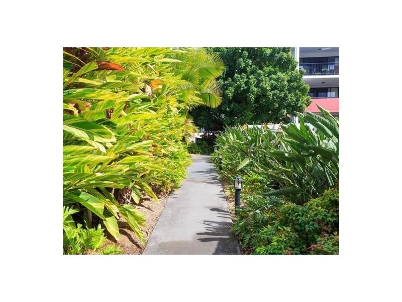 8 Archer street, Upper Mount Gravatt QLD 4122