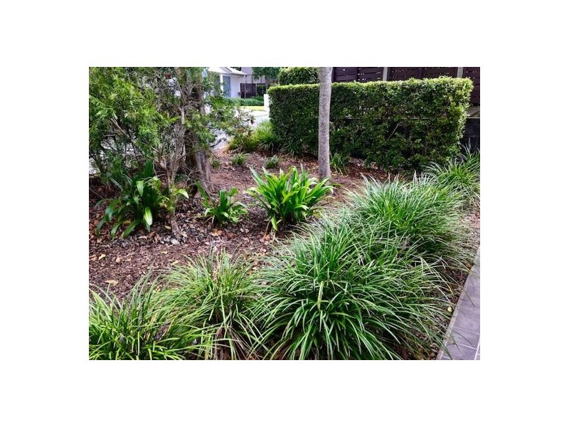 50/29 Lachlan Drive, Wakerley QLD 4154