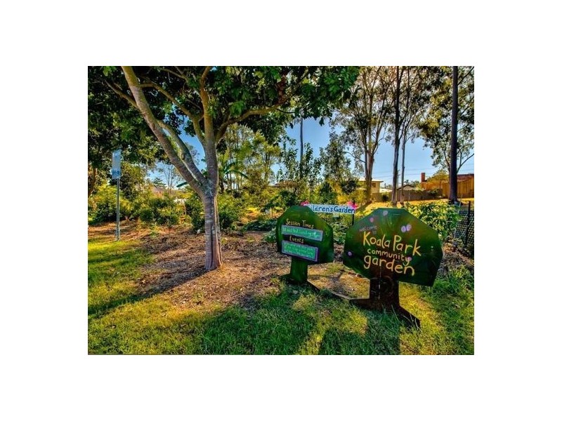 15 Woodlea Street, Moorooka QLD 4105