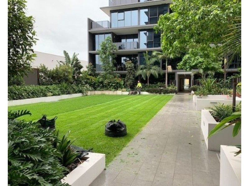 3067/36 Evelyn Street, Newstead QLD 4006