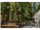 19 Veivers Road, Palm Cove QLD 4879