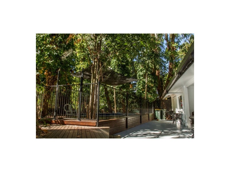 19 Veivers Road, Palm Cove QLD 4879