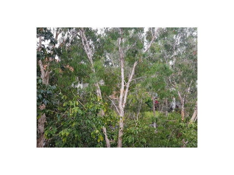 Block 14 40 Clifton Road, Clifton Beach QLD 4879