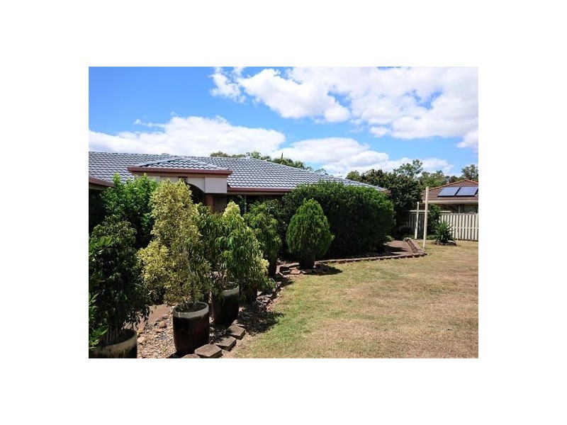 3 glenview court, Underwood QLD 4119