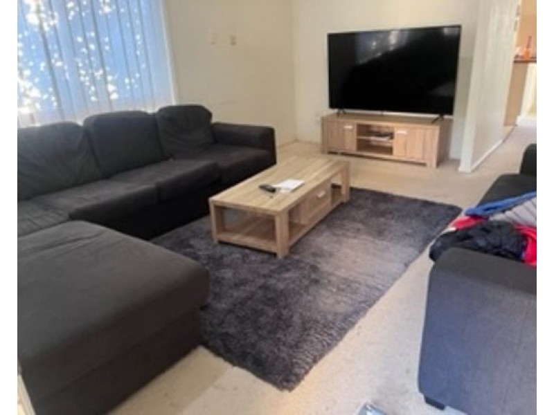 115 Gumtree street, Runcorn QLD 4113