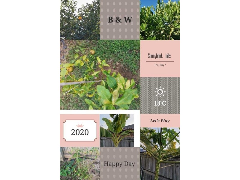 9 Cambooya Street, Sunnybank Hills QLD 4109