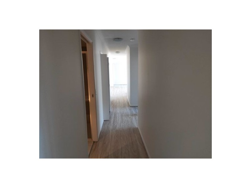 4205 12 Executive Dr, Burleigh Waters QLD 4220