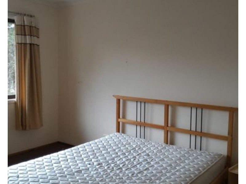 41 Driftwood St, Sunnybank Hills QLD 4109