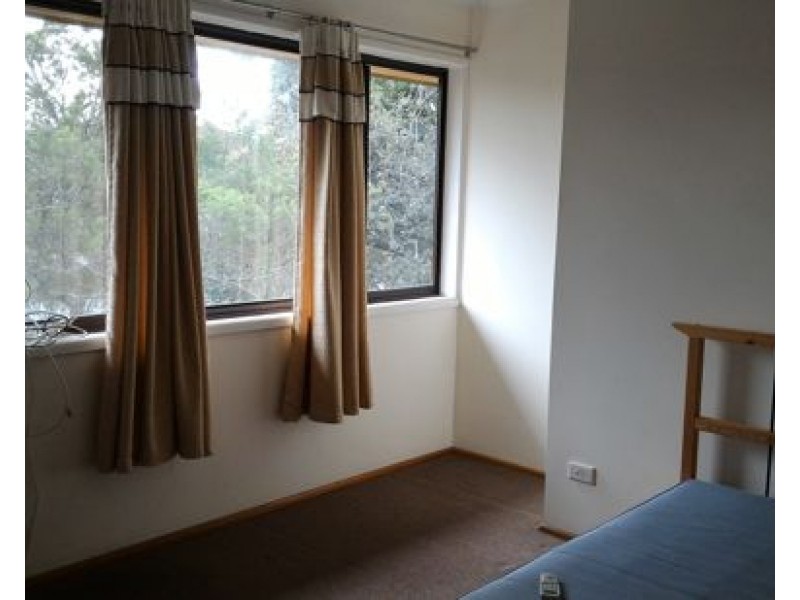 41 Driftwood St, Sunnybank Hills QLD 4109