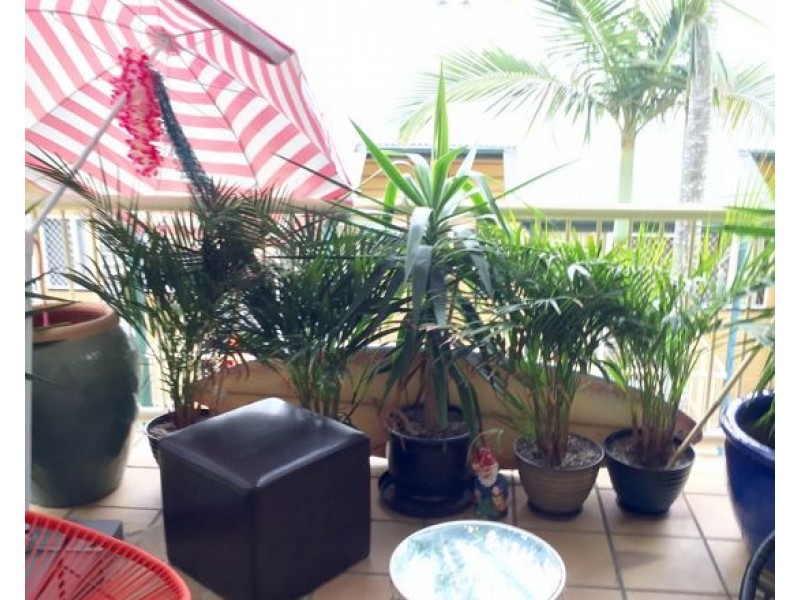 17/33 Lagonda St, Annerley QLD 4103