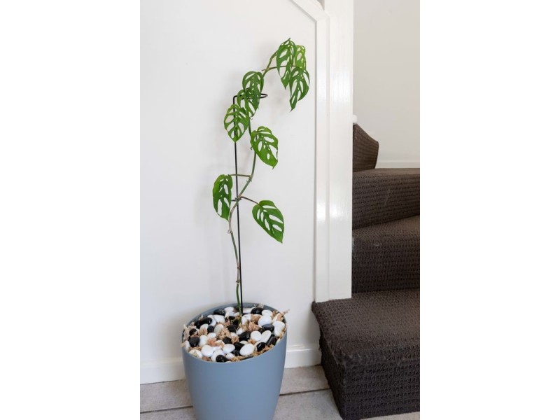 Unit 129 9 Bayside Court, Thorneside QLD 4158