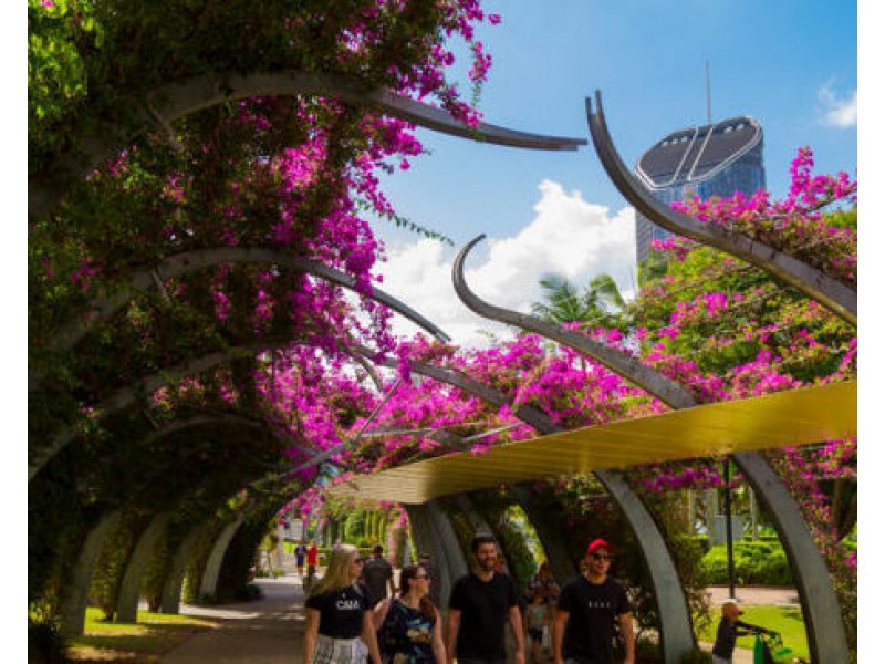 204/35 Peel street, South Brisbane QLD 4101