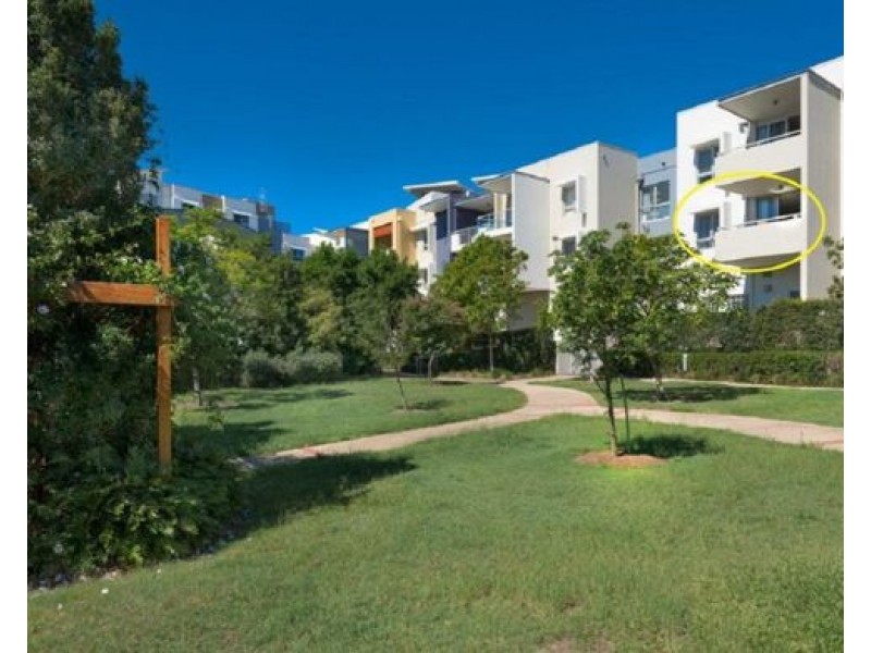 13 1 Arbour Ave, Robina QLD 4226