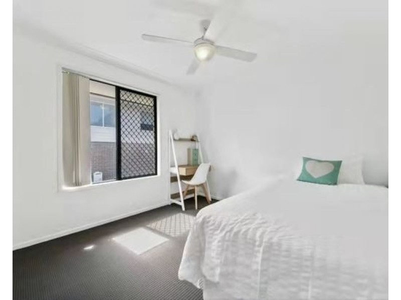 38 GREENMOUNT AVENUE, Holland Park QLD 4121