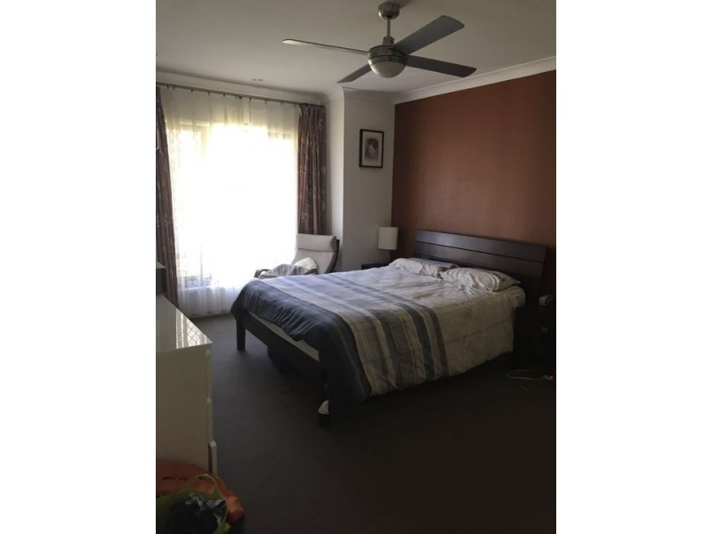 14 Budgerigar Street, Upper Kedron QLD 4055