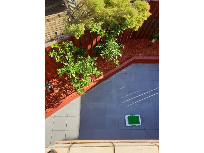 9/2 Geraldton Drive, Varsity Lakes QLD 4227