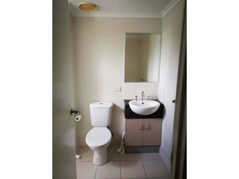 86 Martyn Street, Parramatta Park QLD 4870