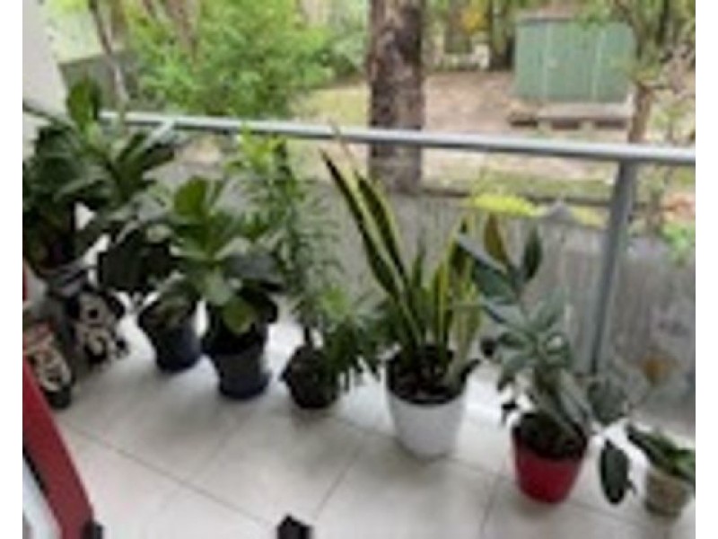 5/75 Springwood Road, Springwood QLD 4127