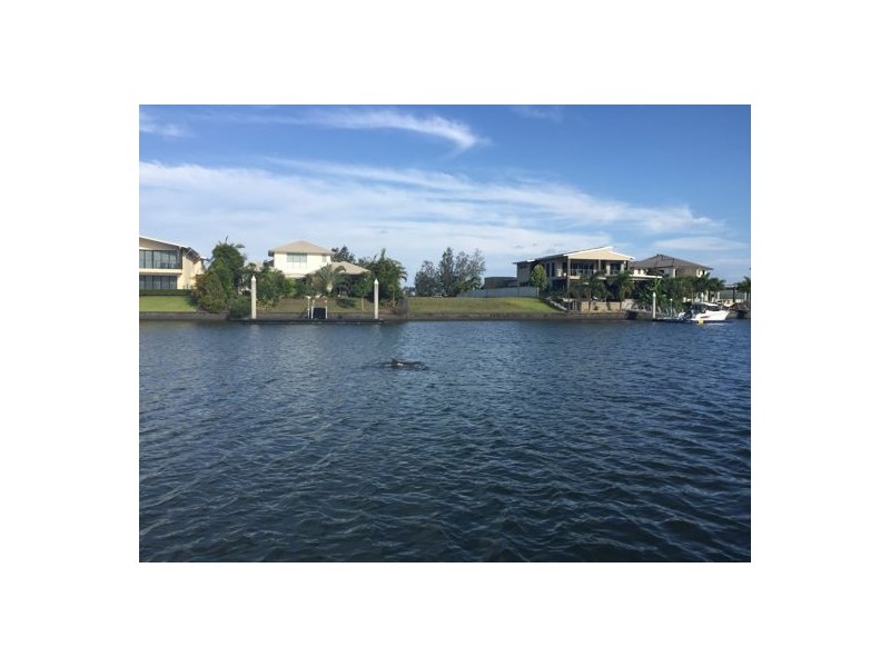 52 Buccaneer Way, Coomera Waters QLD 4209