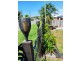 36 Apex Avenue, Kippa-ring QLD 4021