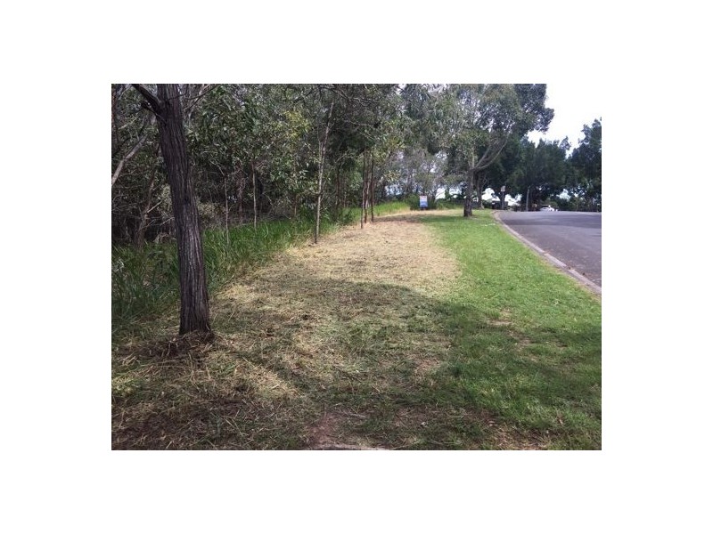 80 Macquarie Way, Drewvale QLD 4116