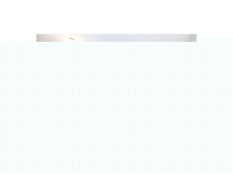 1 & 2 / 15 Rossini Street, Burpengary QLD 4505