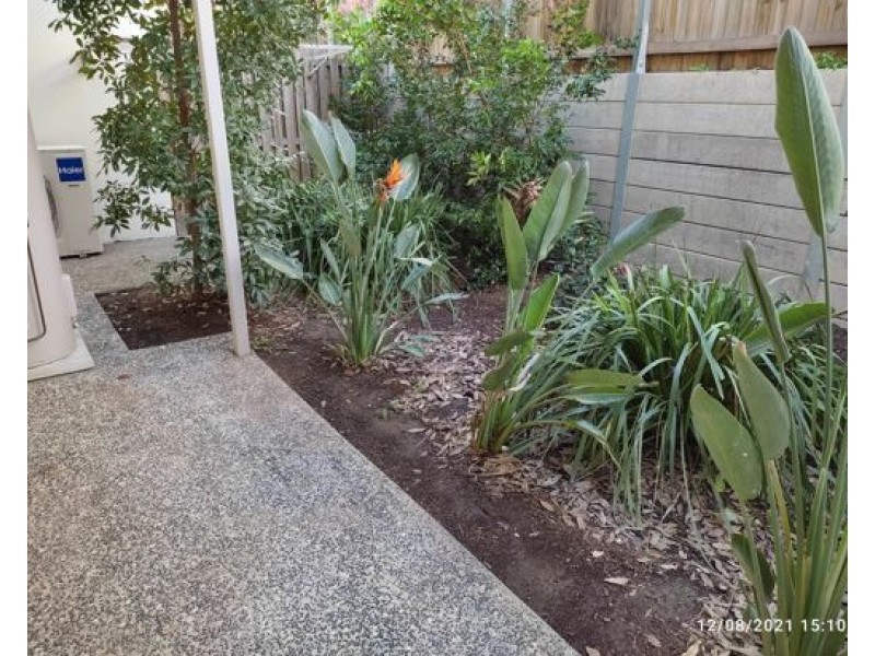 25 /55 Francis Ave, Rochedale QLD 4123