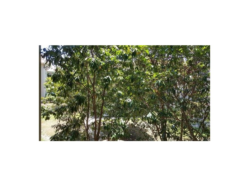 603 22-26 Clifton Road, Clifton Beach QLD 4879