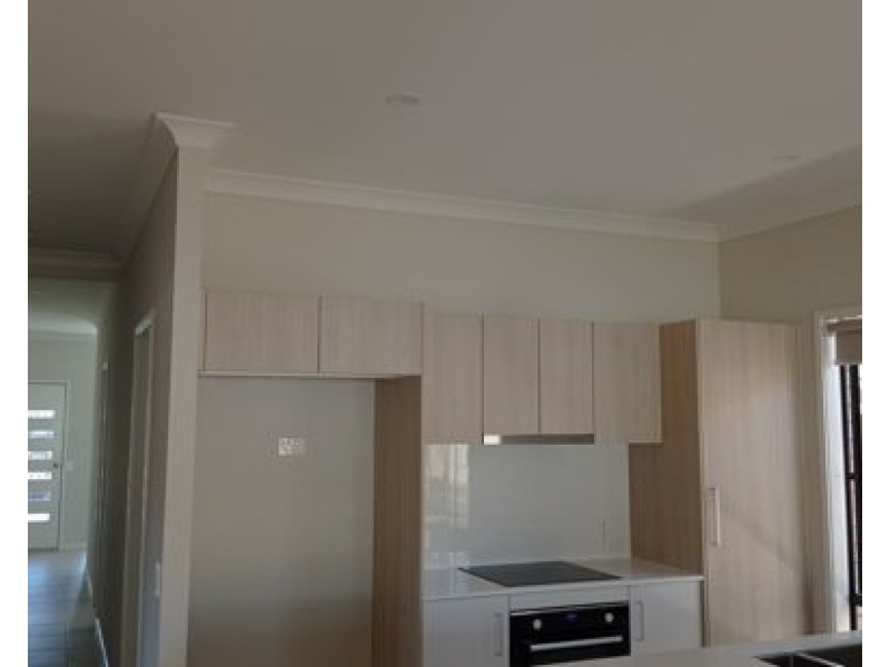 3 Spruce Circuit, Hillcrest QLD 4118