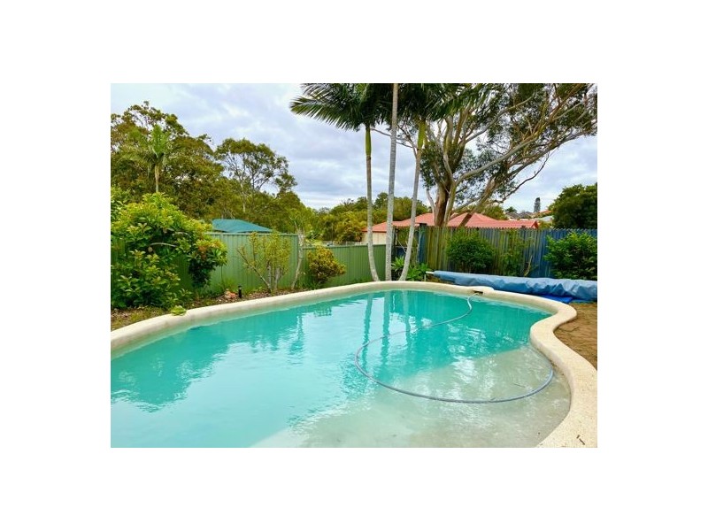 53 Pinkwood Drive, Ashmore QLD 4214