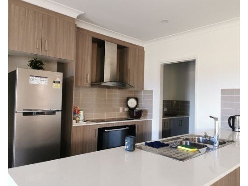 50 Fisher Street, Rochedale QLD 4123