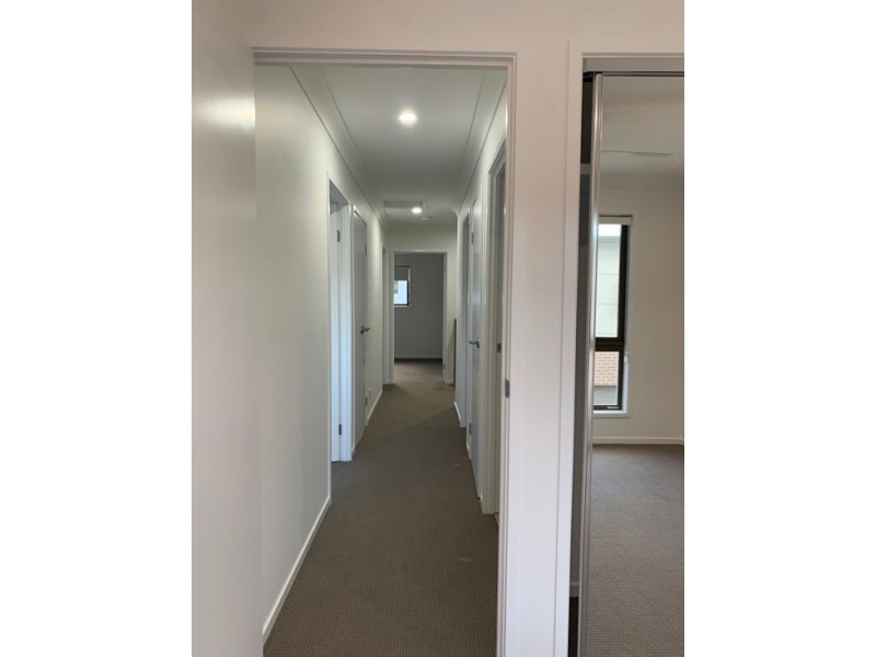 53 77 Avondale Crescent, Parkinson QLD 4115