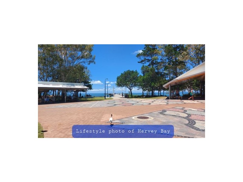 310 Esplanade, Pialba QLD 4655