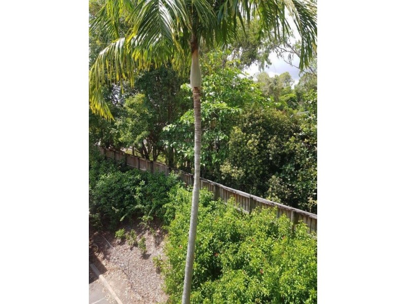 907 22-26 Clifton Road, Clifton Beach QLD 4879