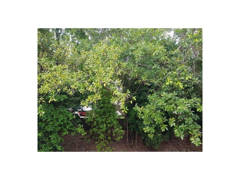 1109 Clifton Views 40 Clifton Road, Clifton Beach QLD 4879