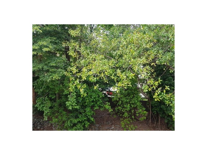 1109 Clifton Views 40 Clifton Road, Clifton Beach QLD 4879