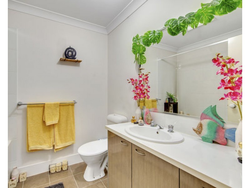 14 232 Preston Road, Wynnum West QLD 4178