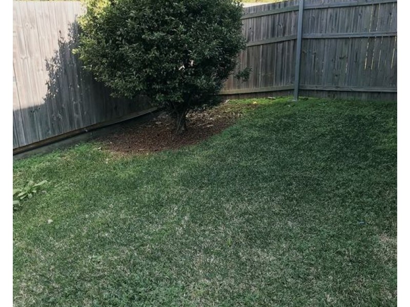 LN09 447 Watson Road, Acacia Ridge QLD 4110